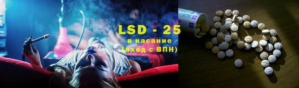 СК Алексин