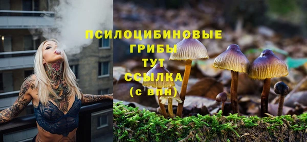 СК Алексин