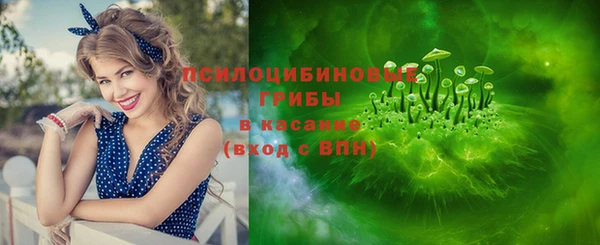 СК Алексин