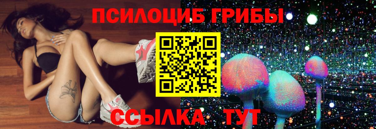 Псилоцибиновые грибы Cubensis Саранск